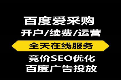 网络营销实战：成功竞价推广案例分析